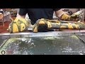 Water Transfer Printing applied to Military Gear- Hydrographics Camouflage