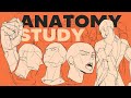 How i practice drawing anatomy