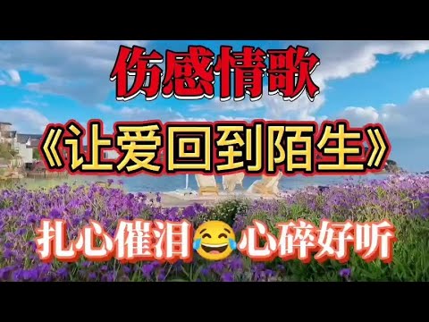 新歌!一首昨天刚上线的伤感情歌，唱的缠绵入心听得让人流泪！
