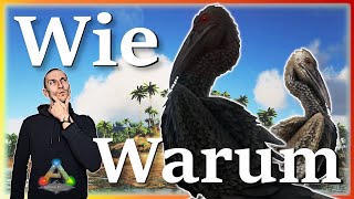 ARK Taming Guide | Ichthyornis zähmen & seine Fähigkeiten mit Humor