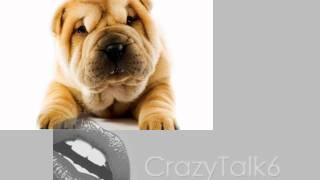 Crazy Talk 6 sample demo / シャーペイ クレイジートーク