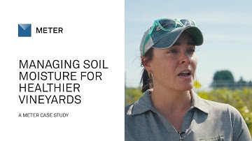 Precision irrigation: Managing soil moisture for healthier vineyards