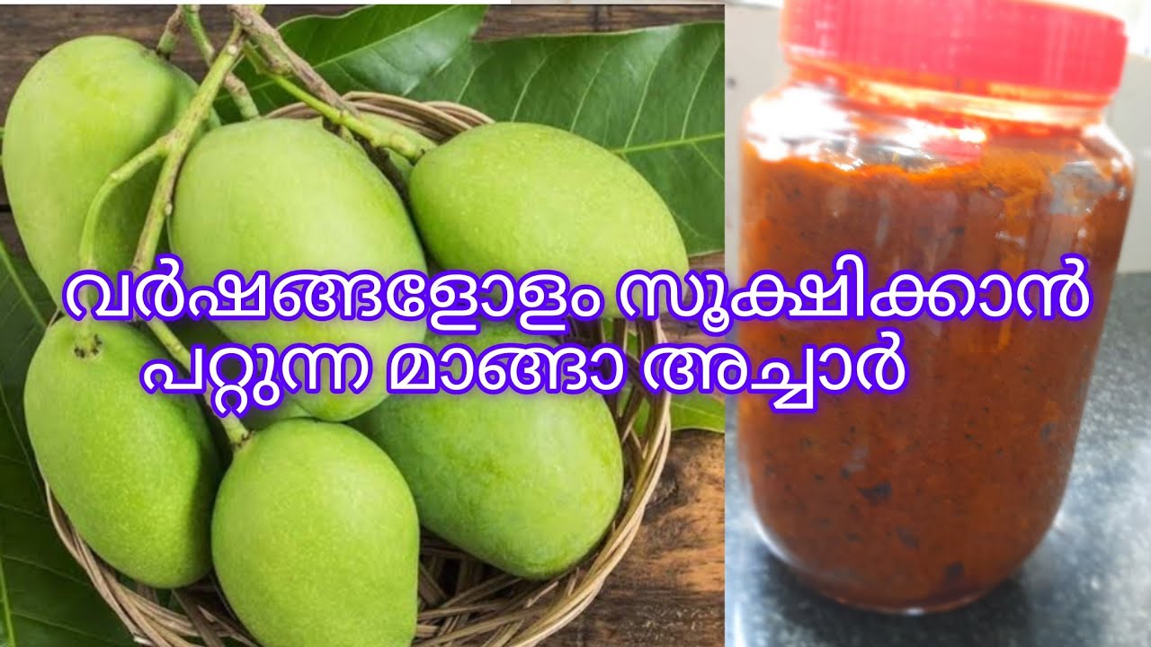 വർഷങ്ങളോളം സൂക്ഷിക്കാൻ പറ്റിയ ഒരു മാങ്ങാ അച്ചാർ