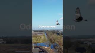 Trots Op Borger-Odoorn