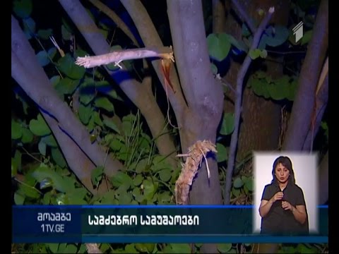 ბაგებში მტაცებელი ცხოველის სამძებრო სამუშაოები მთელი ღამის განმავლობაში მიმდინარეობდა