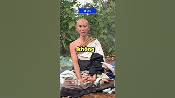 Sư Minh Tuệ Chính Thức Ẩn Tu 7 Ngày Liên Tiếp Không Muốn Ai Làm Phiền #suminhtue #nguyenphuonghang