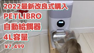 PETLIBRO 自動給餌器　購入しました　猫動画