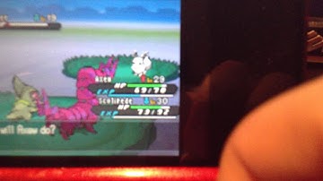 5% Shiny Eevee [Black 2] [ITEMQUEST]