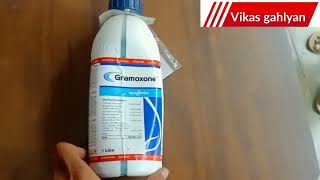 Paraquat Dichloride 24% SL | Syngenta gramoxone herbicide | gramoxone herbicide |  full detail