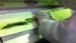 IMG 2228 IMG 2228