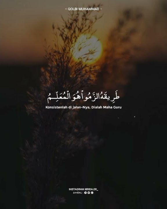 Story Wa | Qolbi Muhammad | Syech Misyari