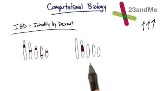 Genetics and Coding - Tales from the Genome