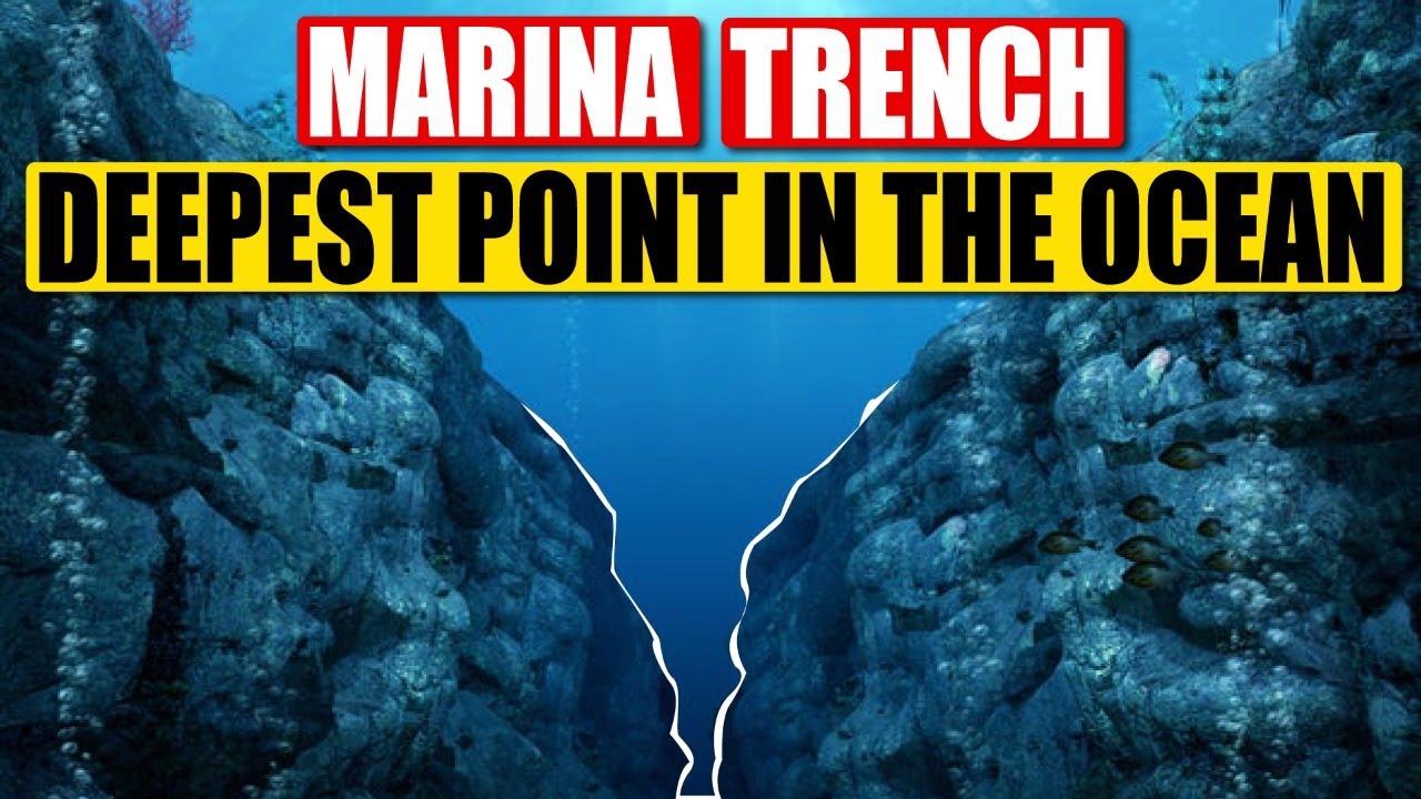 Mariana Trench: The Deepest Part Of The Ocean