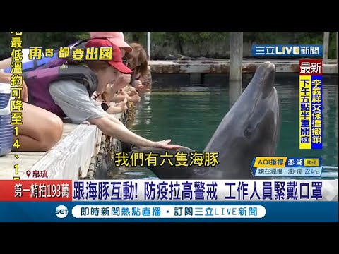 台帛旅遊泡泡最終日 帛琉總統駕船帶遊客看海豚 近距離互動萌翻遊客│記者 唐薏程 張珈瑄│【LIVE大現場】20210404│三立新聞台