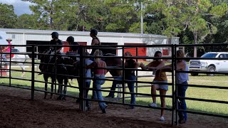 Enjoy, Don't Destroy: St. Johns County Fairgrounds
