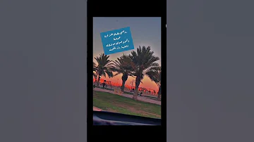 روحـي بلقـاك تفـز فزة حمـامـة وتحـوم حـولك من غـلاك واملهـا وتر الكويت 