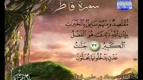 سورة فاطر - تلاوات مختارة - للشيخ معاذ الدلال