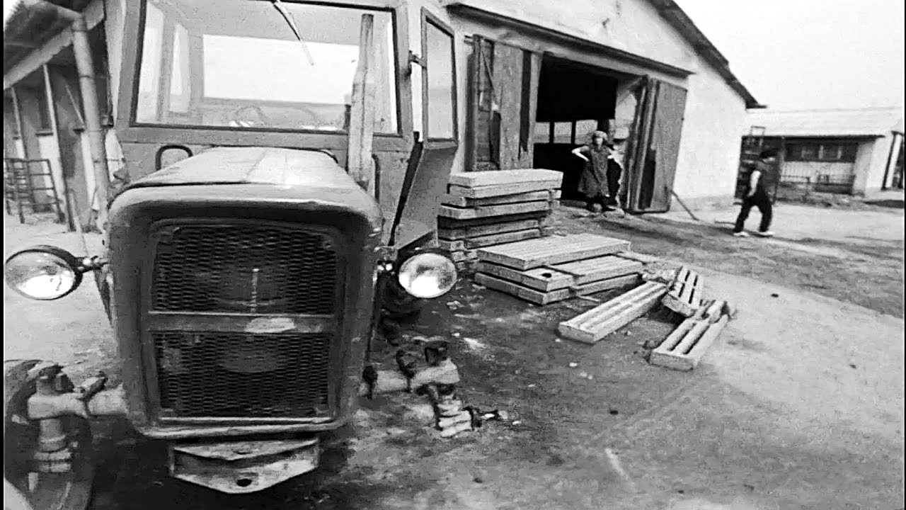 PGR Lubomierz  Gigantyczne straty w produkcji mleka