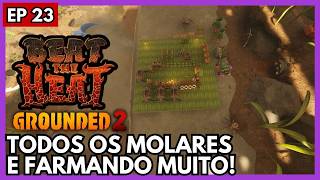 GROUNDED 2: Todos os MOLARES do Mapa e Farmando Muito! SÉRIE Beat the Heat Ep 23! Modo Nossa COOP!