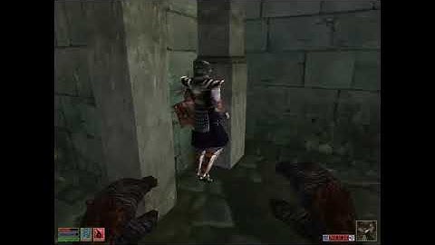 Morrowind NPCs are a little dumb (Part 1)