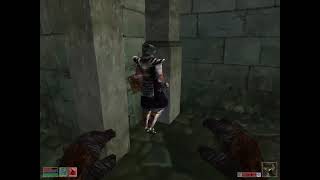 Morrowind NPCs are a little dumb (Part 1)