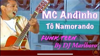 🚘 13 Tô Namorando   MC Andinho, DJ Marlboro Funk Teen
