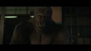 Peter Rabbit And Friends Thomas And Friends S7E13 Ivans Stormy Tale