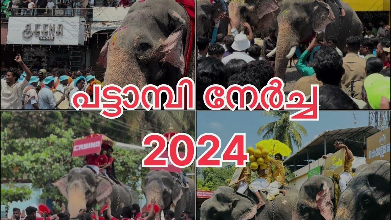 Pattambi nercha 2024