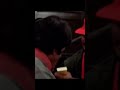short video #song