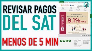 Revisar pagos del SAT de declaraciones rápido y fácil | Contador Contado