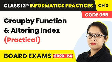 Groupby Function & Altering Index (Practical) (Code 065) |Class 12 Informatics Practices Ch 3 | 2024