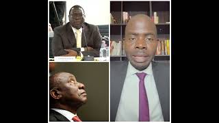 Section 89 Impeachment Committee has recommended Adv Thandazani Madonsela as its evidence leader.