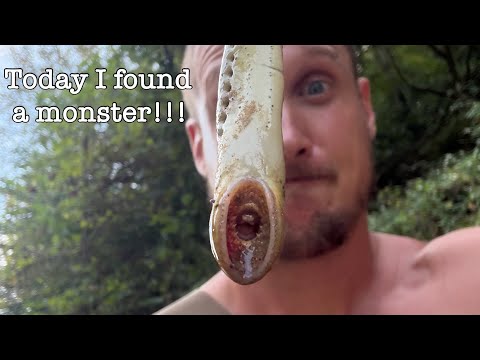 Channel Updates, Hoodie Release, & Fishing!