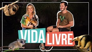 CONHEÇA O TRABALHO DO INSTITUTO VIDA LIVRE | GIOH