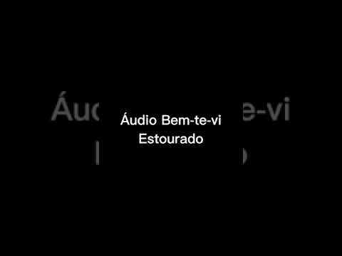 Áudio Bem-te-vi Estourado