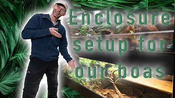 Boa enclosure setup. This is how we build our Bio-active enclosures for our boas