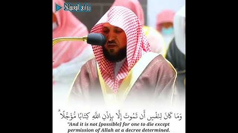 وما محمد إلا رسول قد خلت من قبله الرسل) تلاوة مبكية ومؤثرة جداً 💔 للشيخ ماهر المعيقلي رمضان 1443