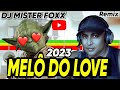 Melô do Love | Reggae Remix 2023 - Dj Mister Foxx