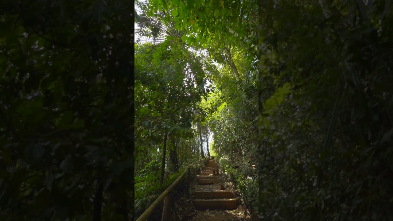 GUESTS SPEAK: ECO LOGIC THAILAND UNVEILED 🌿✨