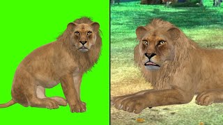 Green screen lion video download for kinemaster | Free green screen footage | DodlaVFX