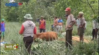 Kilas Peristiwa Sekitar Kita #LintasiNewsPagi 08/01