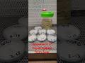 how to inoculate liquid culture with colonized agar plates #mycology #sendit #agar #agarplates