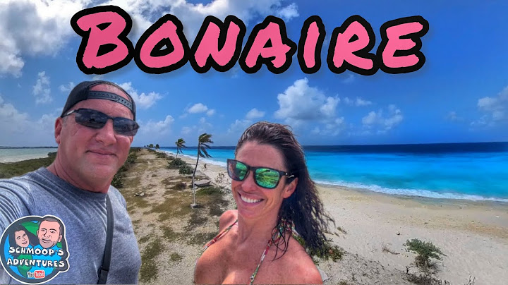 Bonaire in a Day