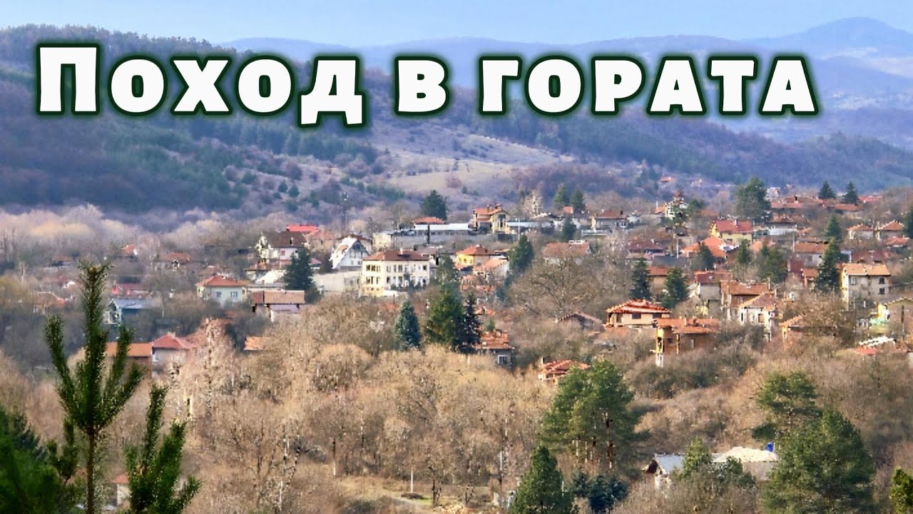 В гората над селото 🌲