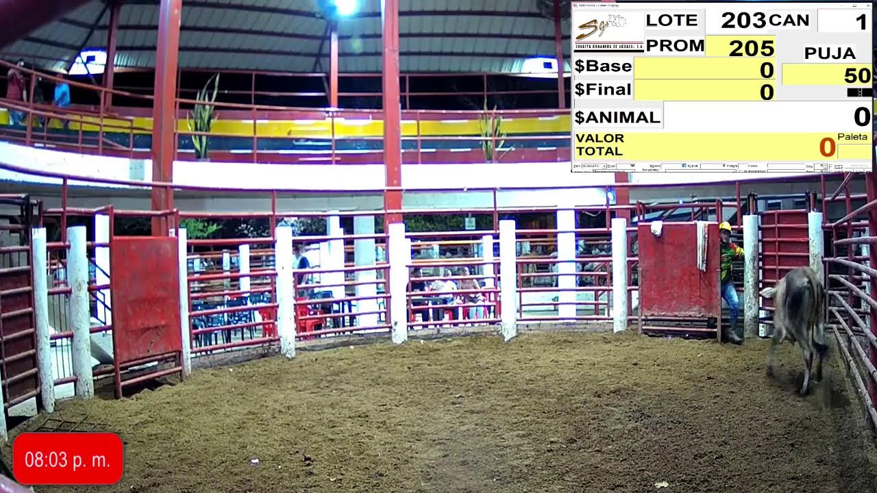 𝘽𝙞𝙚𝙣𝙫𝙚𝙣𝙞𝙙𝙤𝙨 𝙖𝙢𝙞𝙜𝙤𝙨 𝙜𝙖𝙣𝙖𝙙𝙚𝙧𝙤𝙨 𝙙𝙚 𝙘𝙖𝙨𝙖𝙣𝙖𝙧𝙚 𝙮 𝘾𝙤𝙡𝙤𝙢𝙗𝙞𝙖,