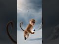 Monkey vs Shadow Beasts ⚔️🐒 #EpicStory #Shorts #Viral