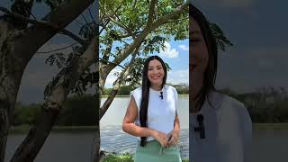 Parcelación Campestre Los Samanes Ginebra, Valle Del Cauca Constructora Segav S.a.s