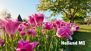 Holland Tulip Festival