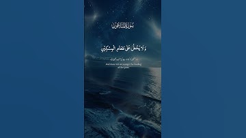✨ تلاوة مميزة من القرآن الكريم تلامس القلوب. استمتع بآيات تبعث السكينة. ✨#قرآن