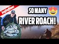 Catch a river roach every drop  